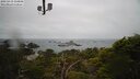 ./images/calvert/lookout/20250419/lookout20250419_134008M.jpg