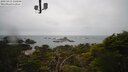./images/calvert/lookout/20250419/lookout20250419_135009M.jpg