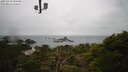 ./images/calvert/lookout/20250419/lookout20250419_135508M.jpg