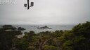 ./images/calvert/lookout/20250419/lookout20250419_145009M.jpg