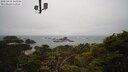 ./images/calvert/lookout/20250419/lookout20250419_145506M.jpg