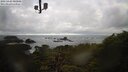 ./images/calvert/lookout/20250420/lookout20250420_080008M.jpg