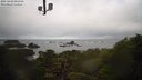 ./images/calvert/lookout/20250420/lookout20250420_083508M.jpg