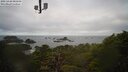 ./images/calvert/lookout/20250420/lookout20250420_085008M.jpg