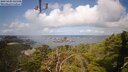 ./images/calvert/lookout/20250420/lookout20250420_120508M.jpg