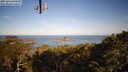 ./images/calvert/lookout/20250423/lookout20250423_075008M.jpg