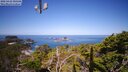 ./images/calvert/lookout/20250423/lookout20250423_105506M.jpg