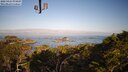 ./images/calvert/lookout/20250424/lookout20250424_074508M.jpg