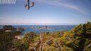 ./images/calvert/lookout/20250424/lookout20250424_115508M.jpg