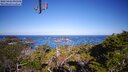 ./images/calvert/lookout/20250426/lookout20250426_090508M.jpg
