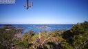 ./images/calvert/lookout/20250426/lookout20250426_091008M.jpg