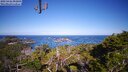 ./images/calvert/lookout/20250426/lookout20250426_092008M.jpg