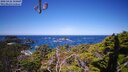 ./images/calvert/lookout/20250426/lookout20250426_115007M.jpg
