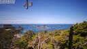 ./images/calvert/lookout/20250427/lookout20250427_112508M.jpg