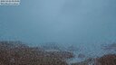 ./images/calvert/lookout/20250428/lookout20250428_053509M.jpg