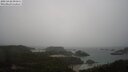 ./images/calvert/lookout/20250428/lookout20250428_091511M.jpg