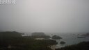 ./images/calvert/lookout/20250428/lookout20250428_112011M.jpg