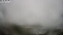 ./images/calvert/lookout/20250428/lookout20250428_164011M.jpg