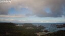./images/calvert/lookout/20250429/lookout20250429_095009M.jpg