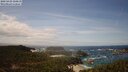 ./images/calvert/lookout/20250429/lookout20250429_124511M.jpg