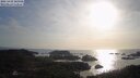 ./images/calvert/lookout/20250429/lookout20250429_183508M.jpg