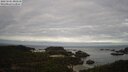 ./images/calvert/lookout/20250501/lookout20250501_080510M.jpg