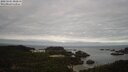 ./images/calvert/lookout/20250501/lookout20250501_082009M.jpg