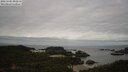 ./images/calvert/lookout/20250501/lookout20250501_092510M.jpg