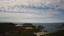 ./images/calvert/lookout/20250501/lookout20250501_121511M.jpg