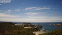 ./images/calvert/lookout/20250501/lookout20250501_124510M.jpg