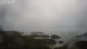 ./images/calvert/lookout/20250502/lookout20250502_081511M.jpg