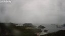 ./images/calvert/lookout/20250502/lookout20250502_082510M.jpg