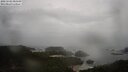 ./images/calvert/lookout/20250502/lookout20250502_083509M.jpg