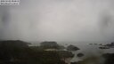 ./images/calvert/lookout/20250502/lookout20250502_084011M.jpg