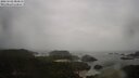 ./images/calvert/lookout/20250502/lookout20250502_084511M.jpg