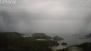 ./images/calvert/lookout/20250502/lookout20250502_091010M.jpg