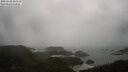 ./images/calvert/lookout/20250502/lookout20250502_091511M.jpg