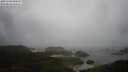 ./images/calvert/lookout/20250502/lookout20250502_092508M.jpg
