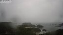 ./images/calvert/lookout/20250502/lookout20250502_100012M.jpg