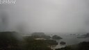 ./images/calvert/lookout/20250502/lookout20250502_100508M.jpg