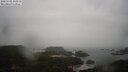 ./images/calvert/lookout/20250502/lookout20250502_102011M.jpg