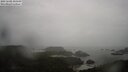 ./images/calvert/lookout/20250502/lookout20250502_103510M.jpg