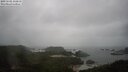 ./images/calvert/lookout/20250502/lookout20250502_112010M.jpg