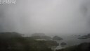 ./images/calvert/lookout/20250502/lookout20250502_112509M.jpg