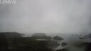 ./images/calvert/lookout/20250502/lookout20250502_114510M.jpg