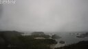 ./images/calvert/lookout/20250502/lookout20250502_130509M.jpg