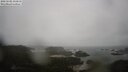 ./images/calvert/lookout/20250502/lookout20250502_131010M.jpg