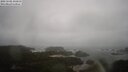 ./images/calvert/lookout/20250502/lookout20250502_135011M.jpg