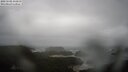 ./images/calvert/lookout/20250502/lookout20250502_141010M.jpg