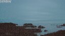 ./images/calvert/lookout/20250504/lookout20250504_214508M.jpg